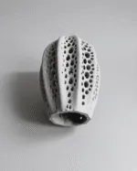 Seashell Vase - Coastal Decor For Living Room Limbe